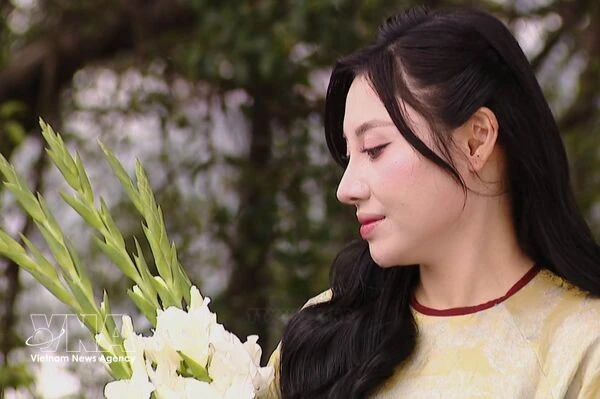 Traditional fabrics shape Tet 2026 ao dai trend