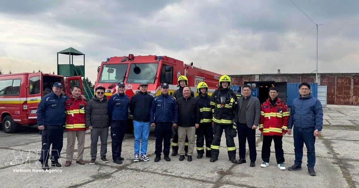 Vietnam, Slovakia boost cooperation in firefighting and rescue