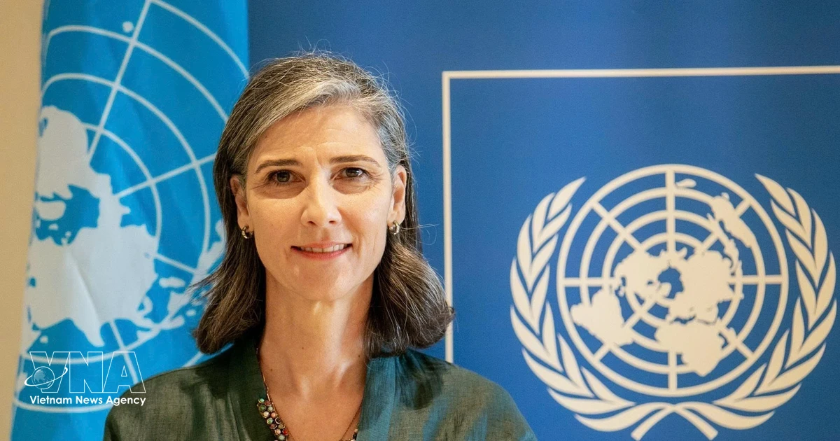 NA, People’s Council election to shape policies sustaining Vietnam’s development momentum: UNDP official