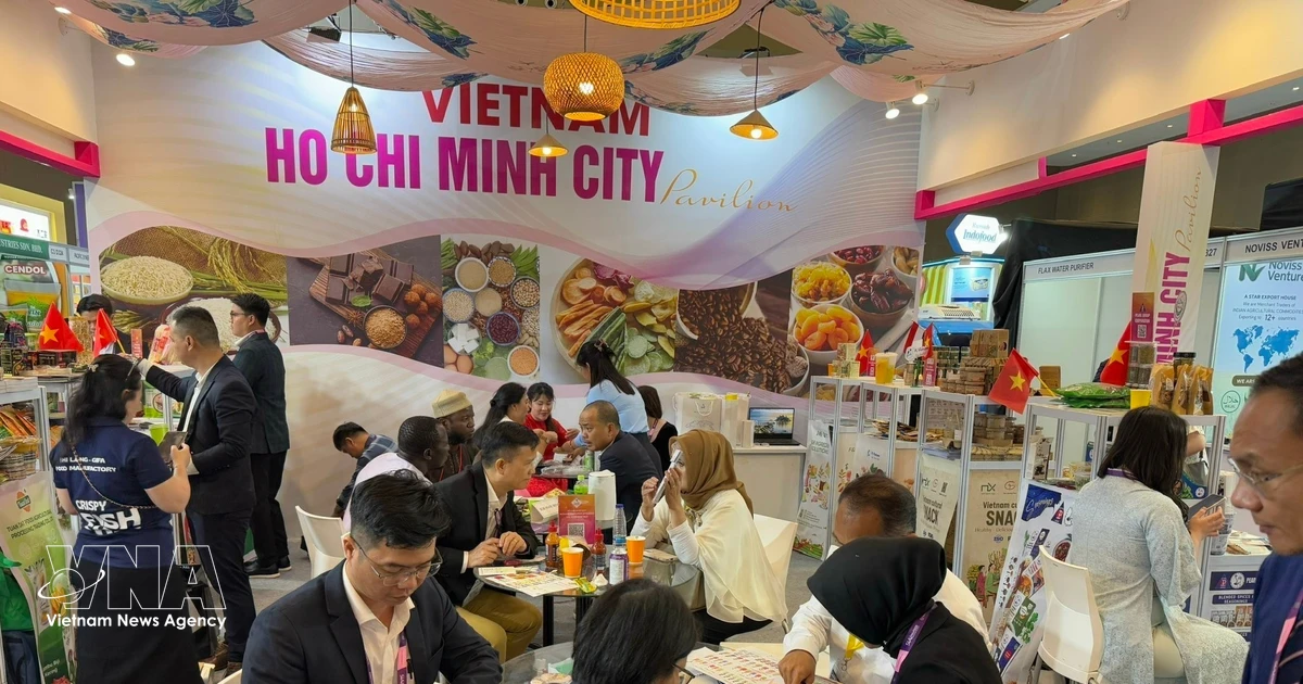 Gallery - Measures sought to help Vietnamese firms expand investment in Indonesia | Vietnam+ (VietnamPlus)