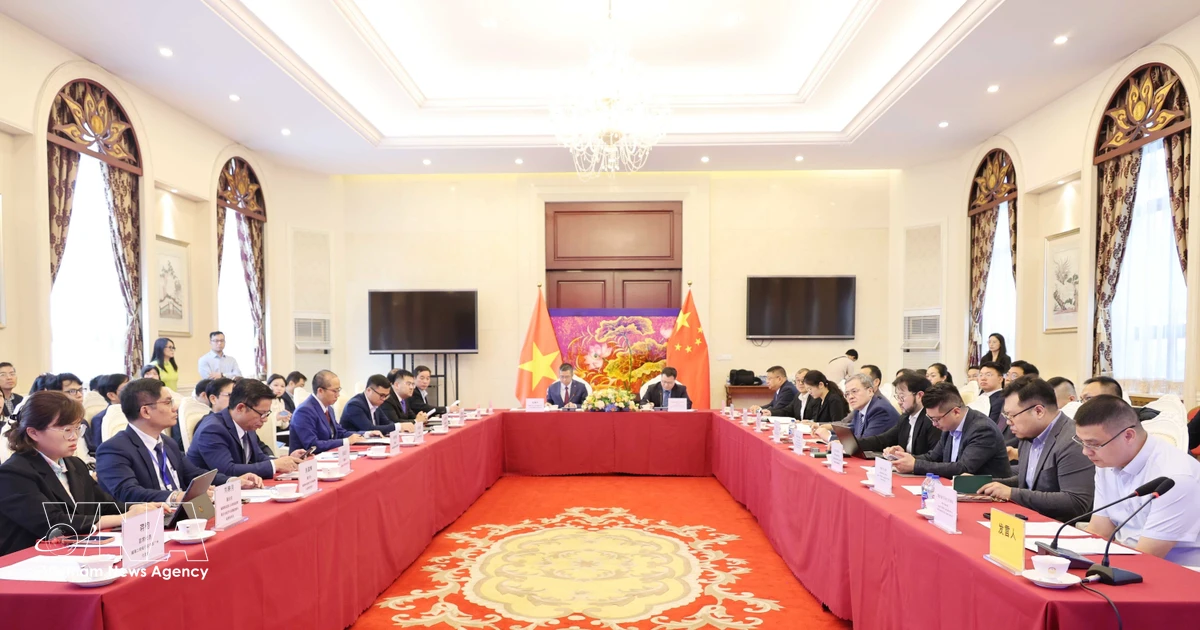 Vietnam, China boost cooperation in green industry development
