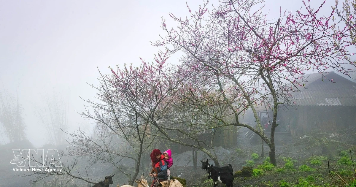 Vietnam targets tourism breakthrough by filling gaps