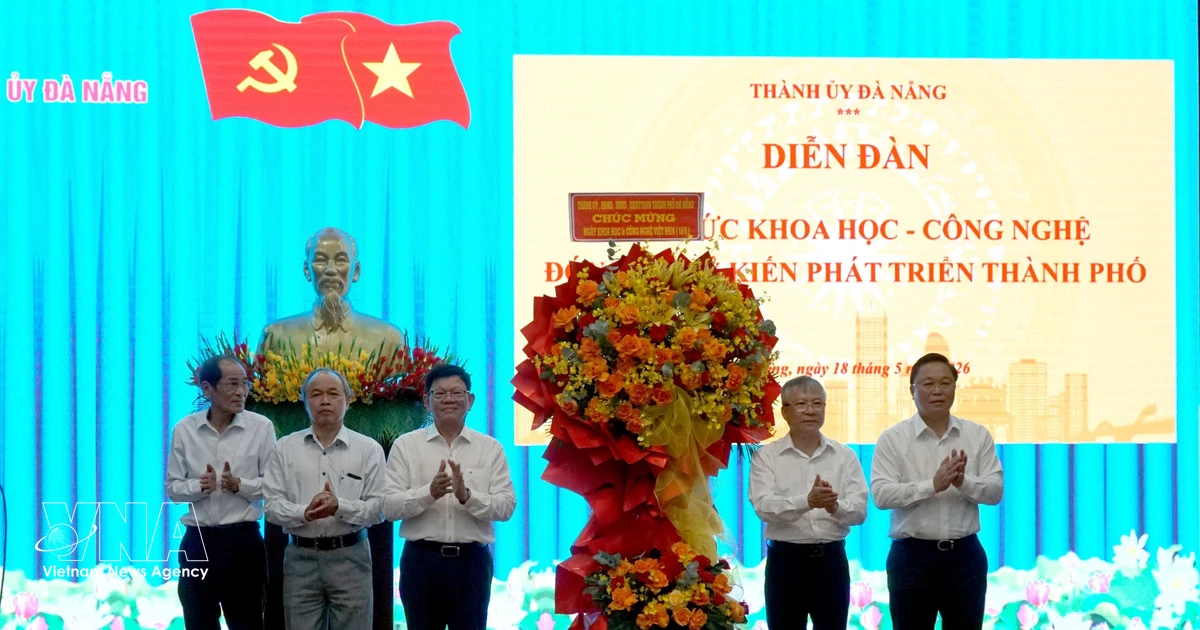 Human capital key to Da Nang’s digital economy ambitions: experts
