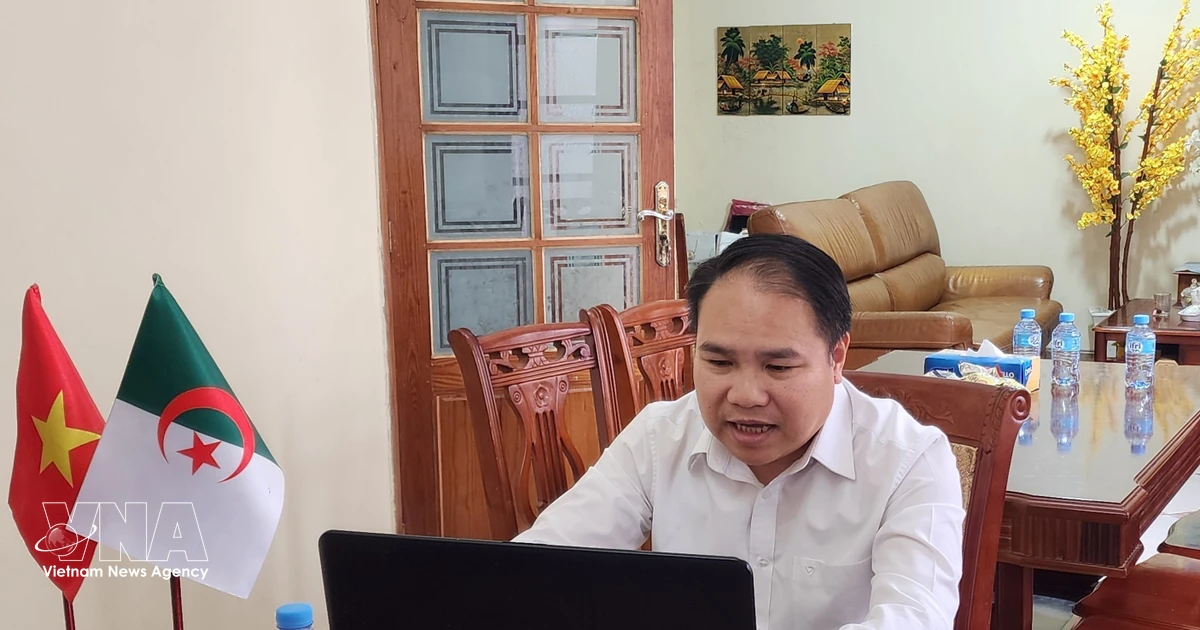 Opportunities for Vietnamese businesses to promote exports to African markets