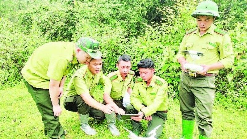 Digital technology application enhances forest management, protection