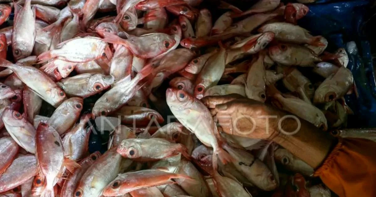 Indonesia tightens oversight of imported aquatic products