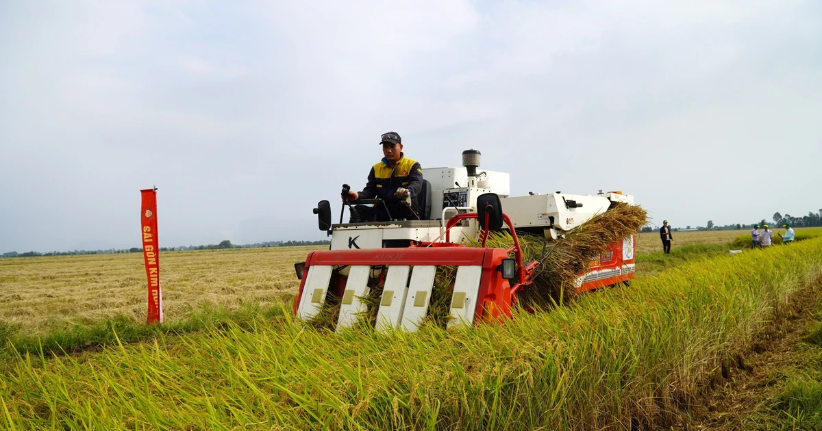 Vietnam doubles down on green growth adapted to climate change
