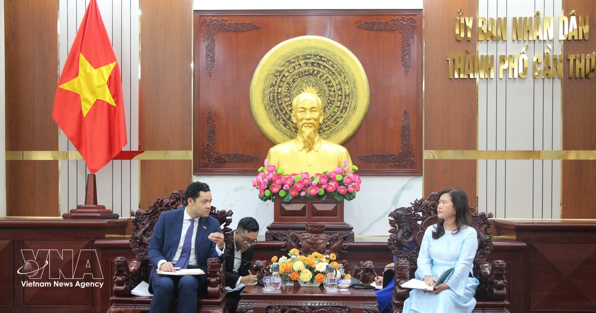 Can Tho steps up education, health cooperation with French partners