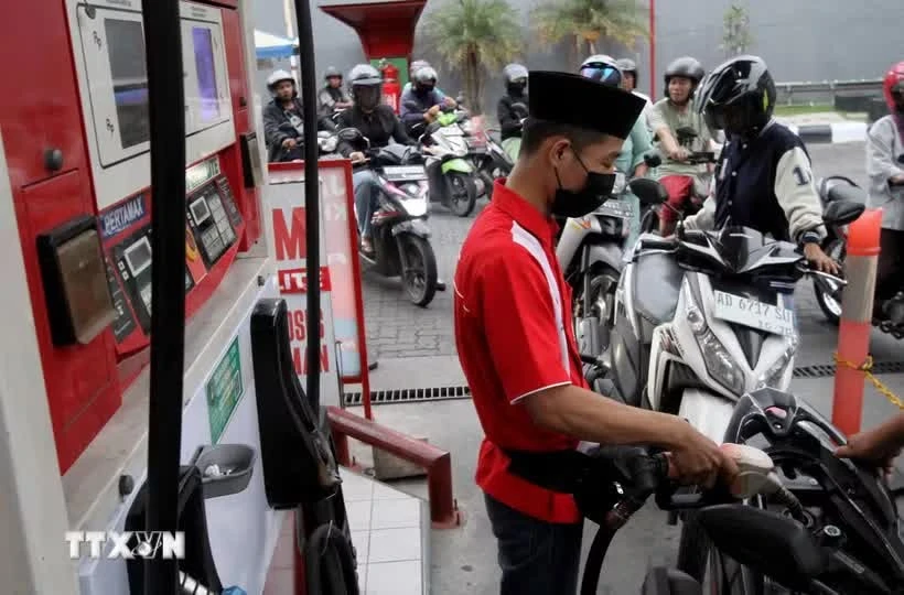 Indonesia expects 8.84 billion USD in savings from B50 biodiesel rollout