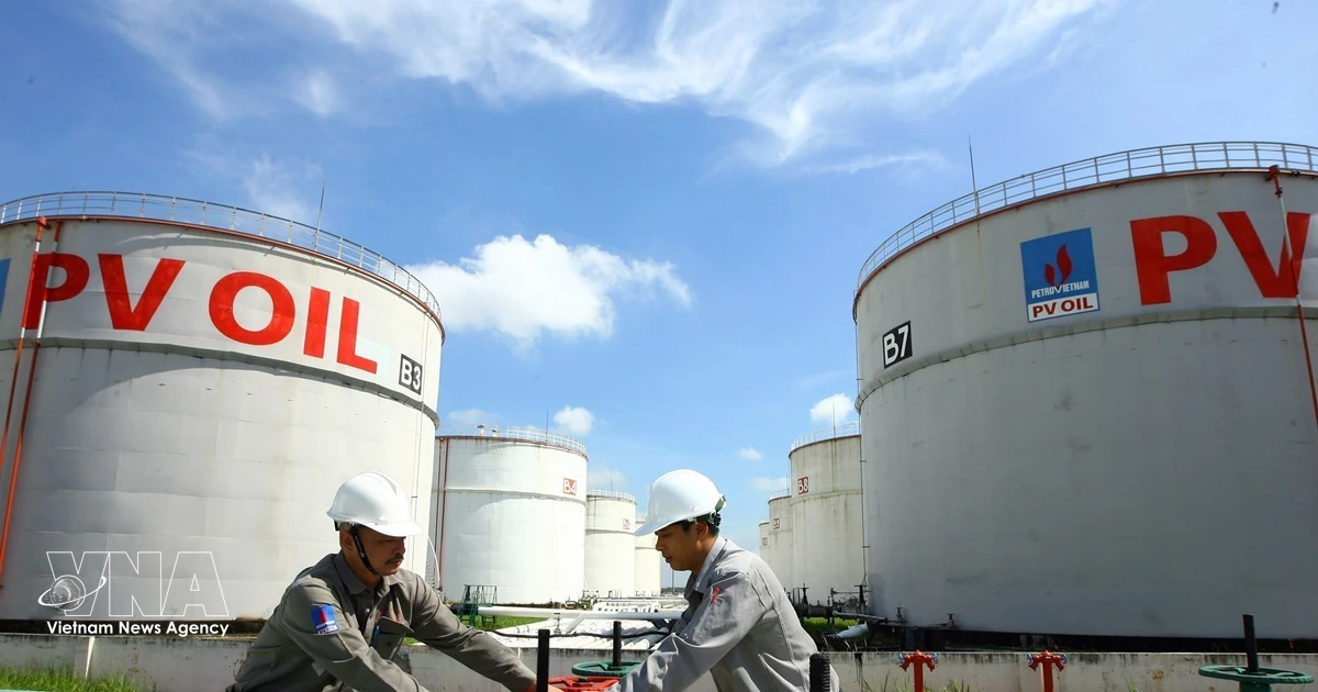 Italian scholar praises Vietnam’s energy security strategy