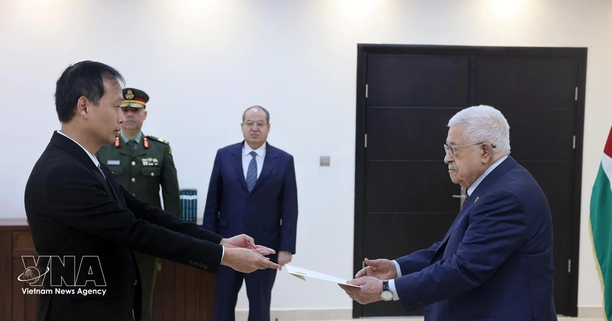Vietnam stands ready to participate in Gaza reconstruction: Ambassador