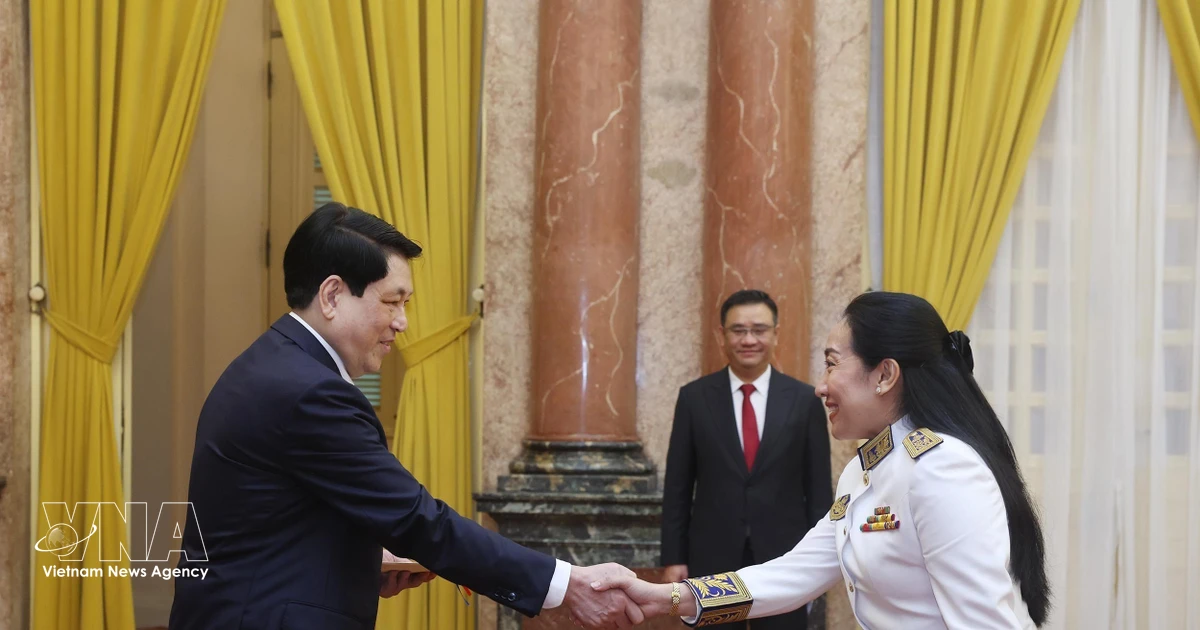 Vietnam eyes stronger ties with Cambodia, Saudi Arabia, Dominica