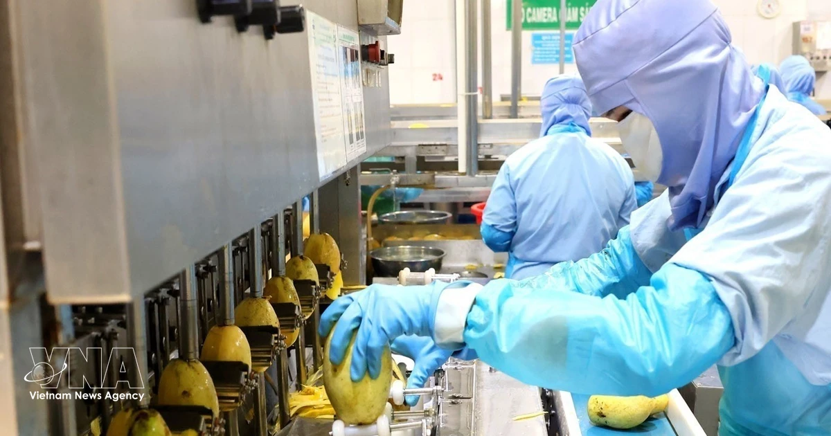 Farmers shift toward organic, sustainable production