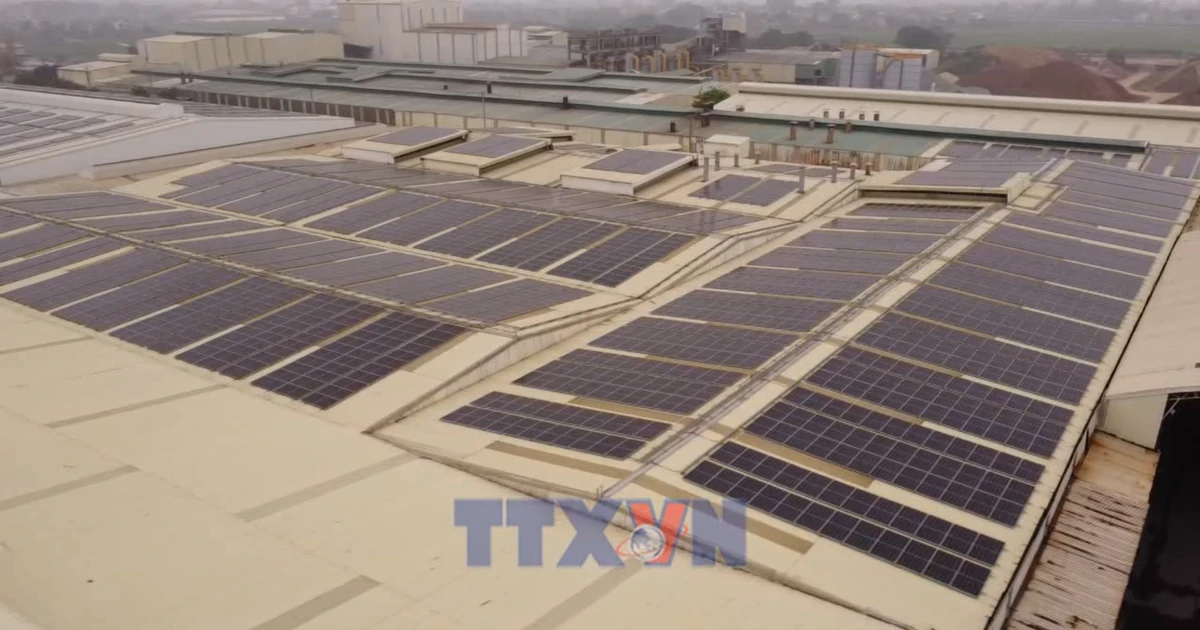 Rooftop solar power to ease pressure on electricity supply | Vietnam+ ...