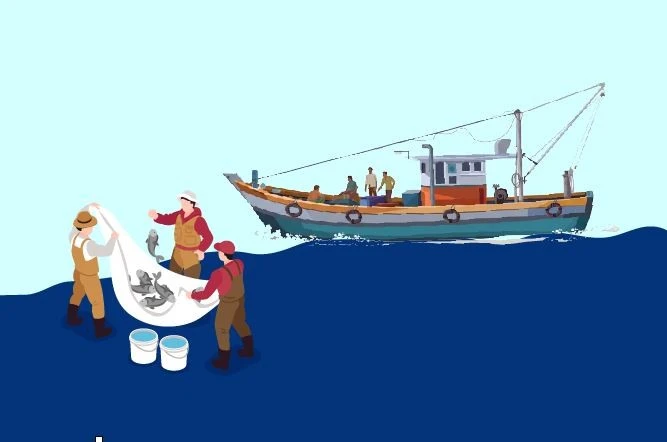 Urgent tasks to address IUU fishing