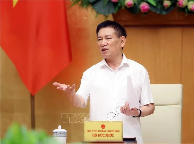 Deputy Prime Minister Ho Duc Phoc speaks at the meeting in Ha Noi on October 14. (Photo: VNA)