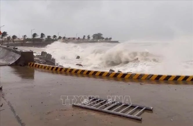 High waves in Ly Son island, Quang Ngai province due to Typhoon Kalmaegi. (Photo: VNA)