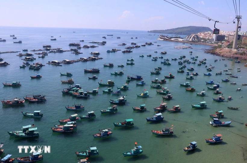 Viet Nam advocates sustainable development of its marine economy and aims to maintain the sustainable growth of the fisheries sector with a fleet structure and fishing methods aligned with the aquatic resource exploitation capacity. (Photo: VNA)