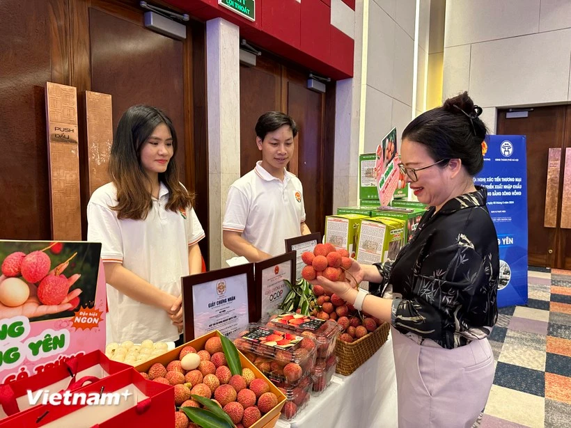 Efforts to grow consumption, export of seasonal fruit, vegetables