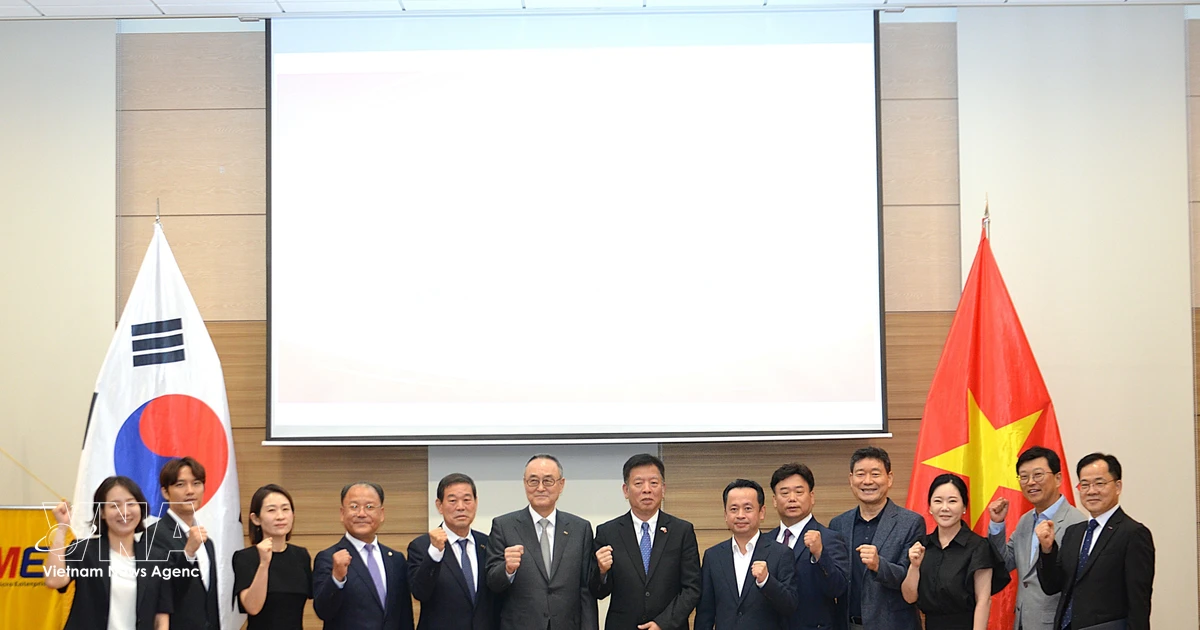 Vietnam, RoK boost micro-business cooperation