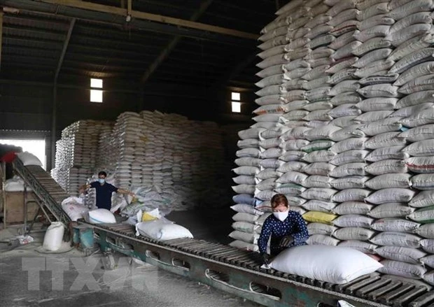 Philippines eyes importing 330,000 tonnes of rice