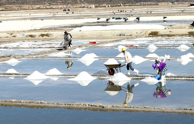 New strategies needed for salt industry development: experts