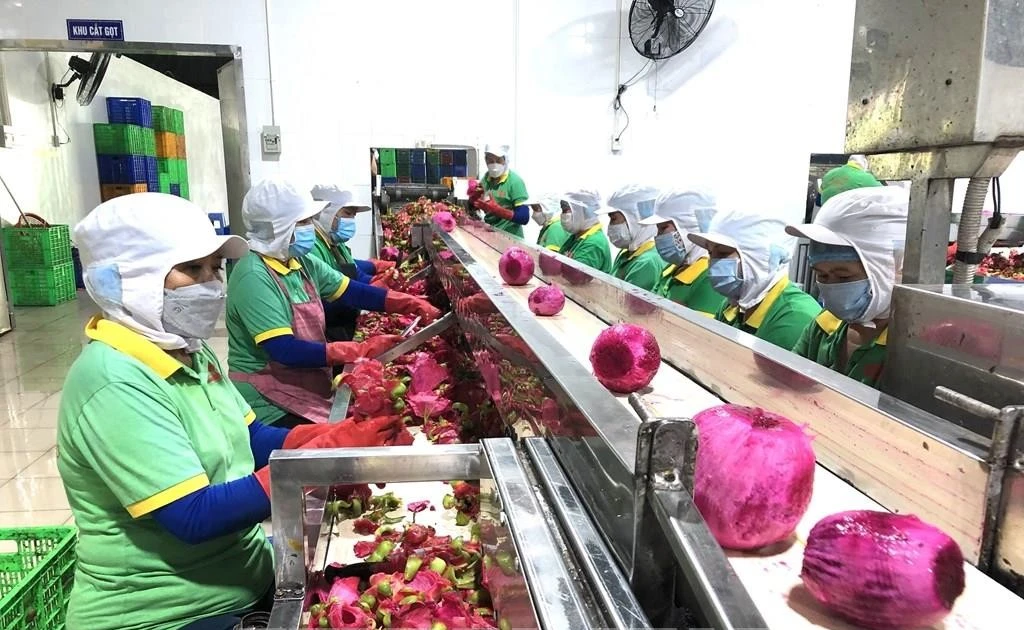 Diversifying markets – key for agricultural product exports to achieve yearly target: experts