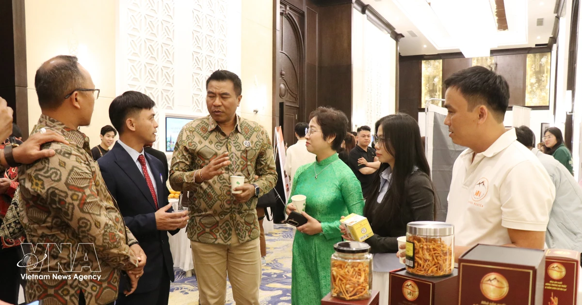 Lam Dong seeks to boost tourism cooperation with Indonesian partners