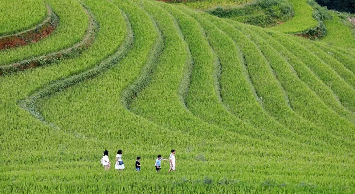 Regional connectivity creates fresh momentum for Vietnam’s tourism growth