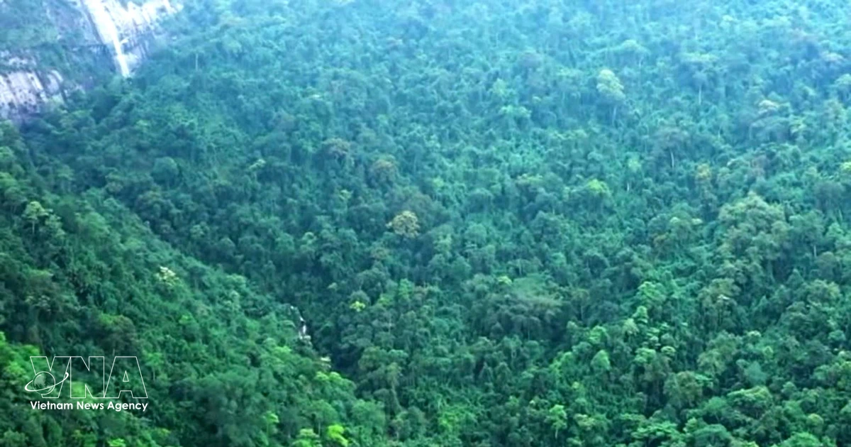 Vietnam secures nearly 72 million USD in green finance support