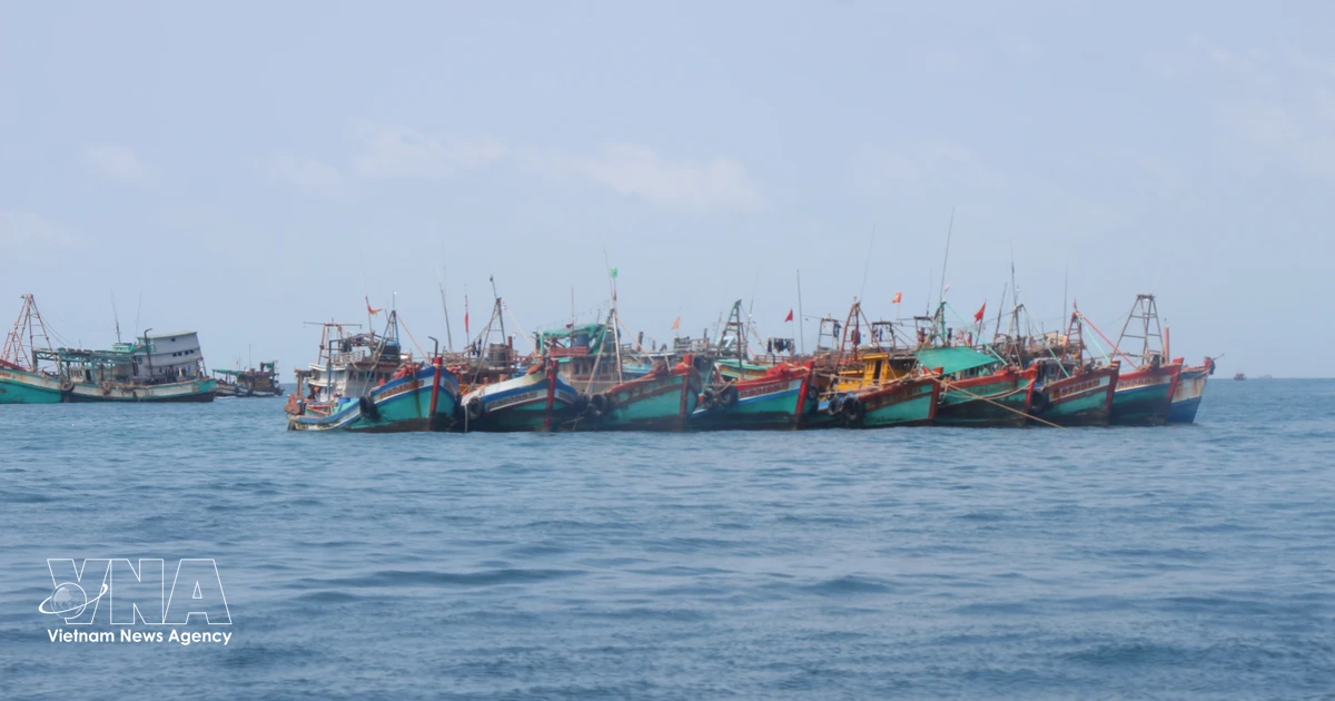 Lam Dong ramps up IUU fishing crackdown, closely following EC recommendations