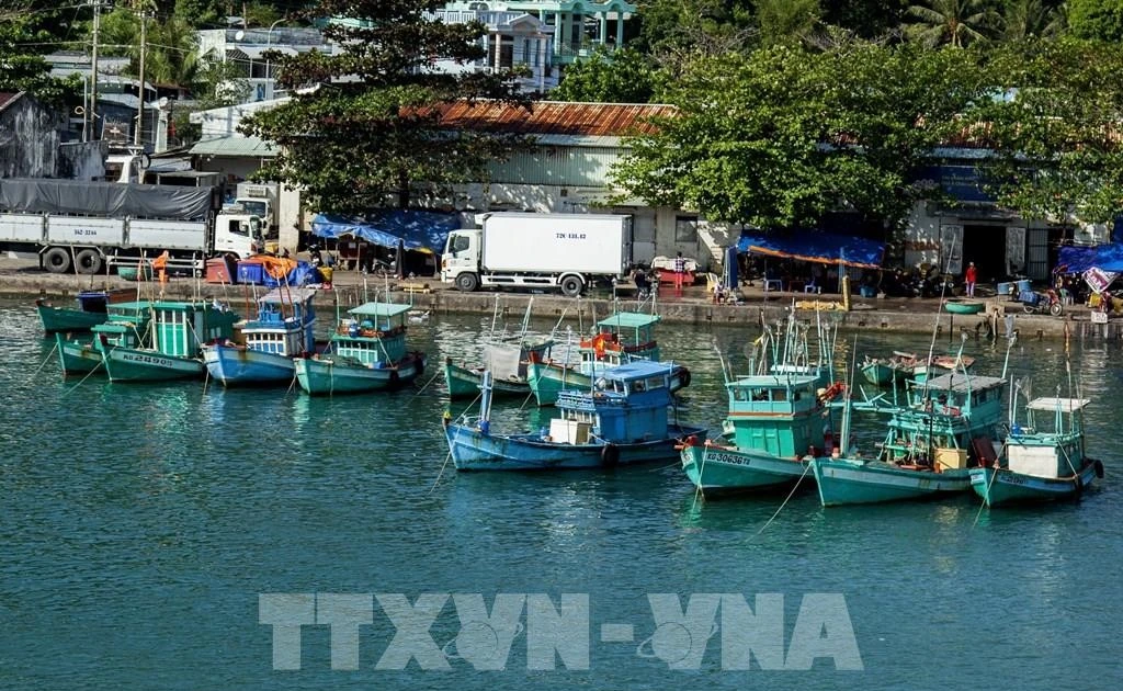An Giang steps up action in line with EC's anti-IUU fishing recommendations