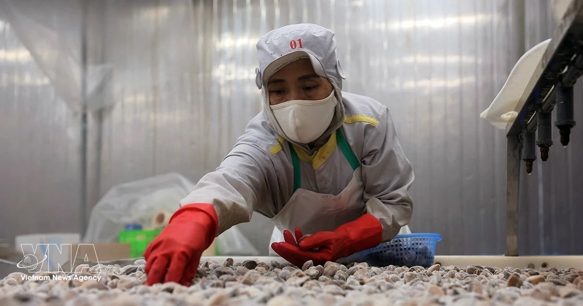 Vietnam steps up export to achieve 550-billion-USD target