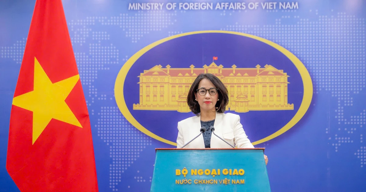 Vietnam always respects freedom of navigation, overflight in East Sea: Foreign Ministry