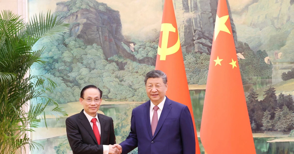 Vietnamese Party chief's Special Envoy meets with top Chinese leader