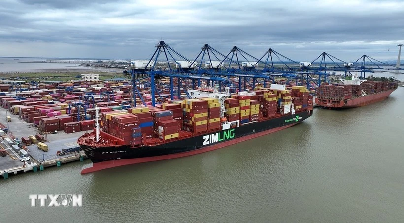 Nearly 500 containers of Vietnamese tea released from Pakistan’s Karachi Port