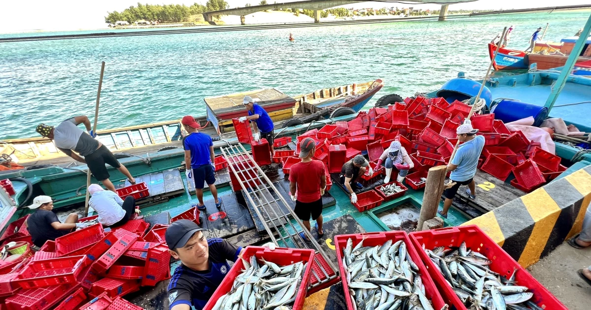 At Cua Tung fishing port, Quang Tri province. (Photo: VNA)