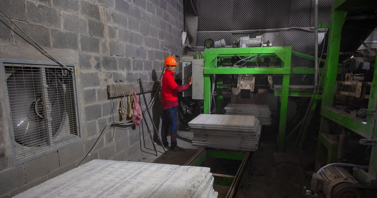 Investing in low-carbon technology – a “passport” for businesses in global integration