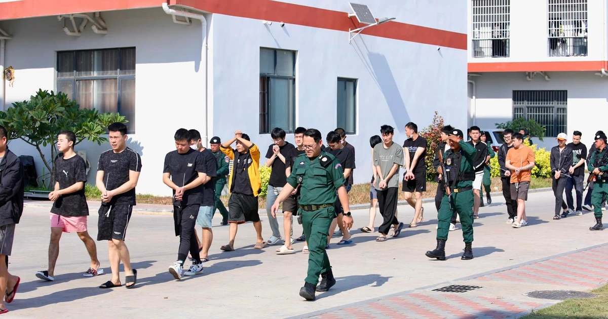 Cambodia launches large-scale crackdown on online scam networks