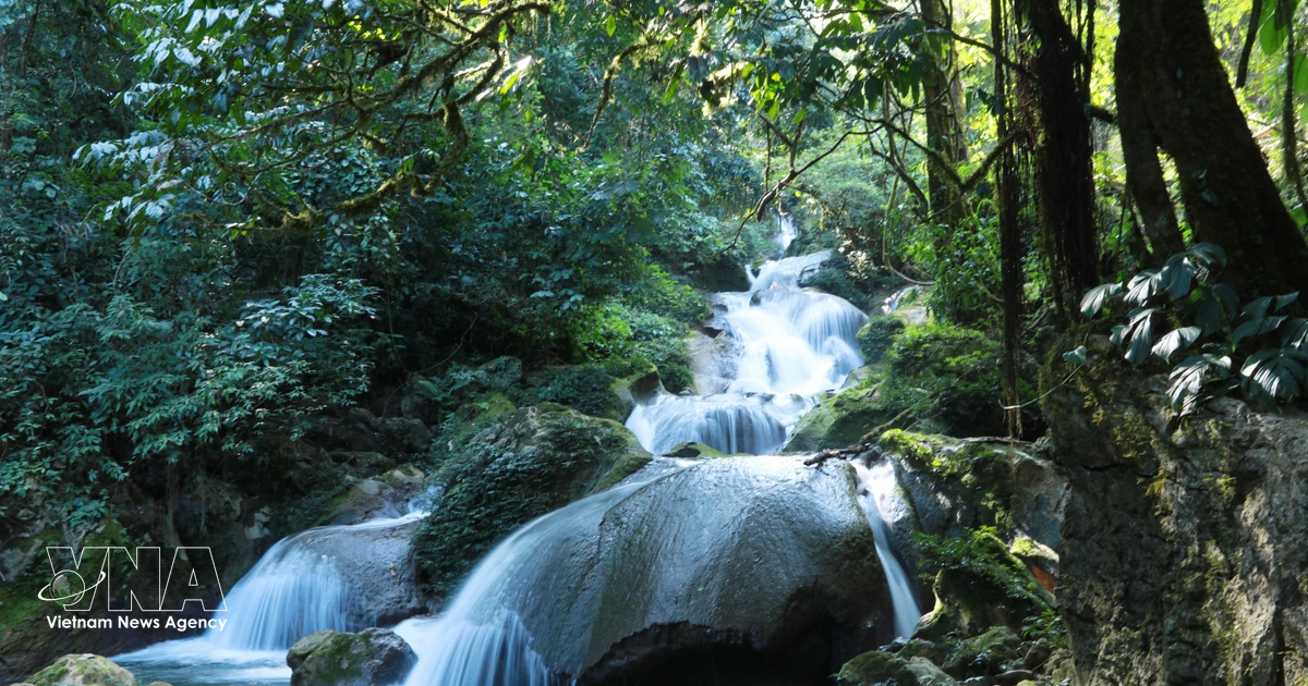 Nam Luc Waterfall amid the lush forests of Lai Chau