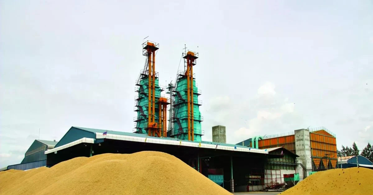 Thailand extends support measures for rice industry