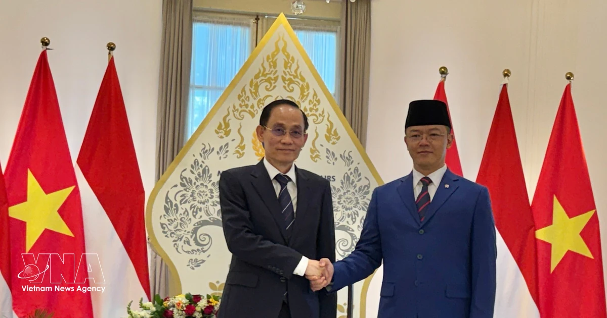 Vietnam, Indonesia chart new strategic cooperation agenda