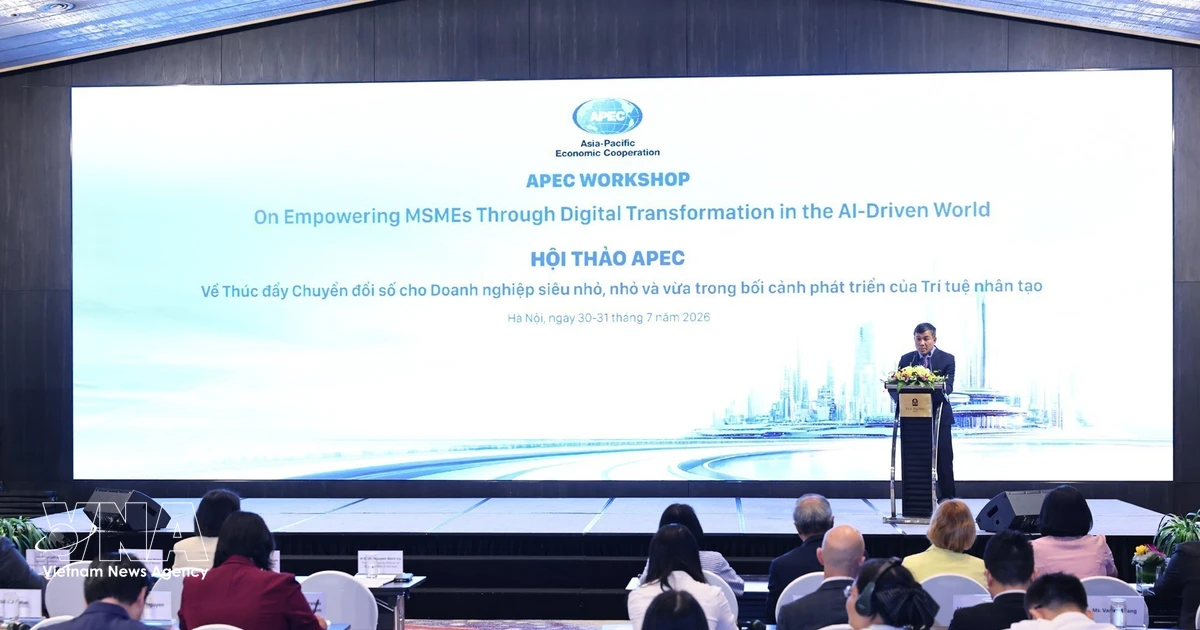 Vietnam, APEC economies promote digital transformation for MSMEs in AI era