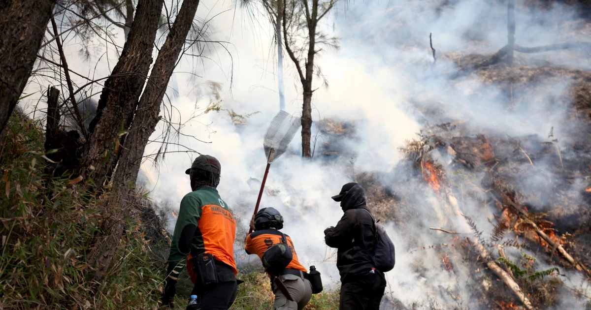 Indonesia intensifies firefighting efforts at Mount Bromo National Park