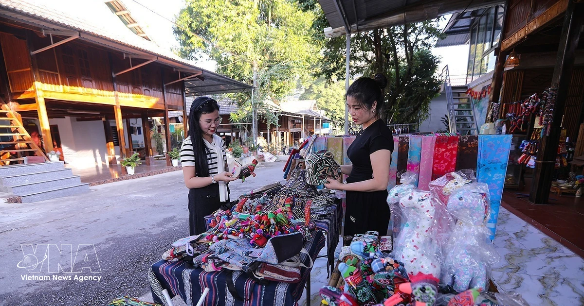 Institutional reform helps accelerate national target programme