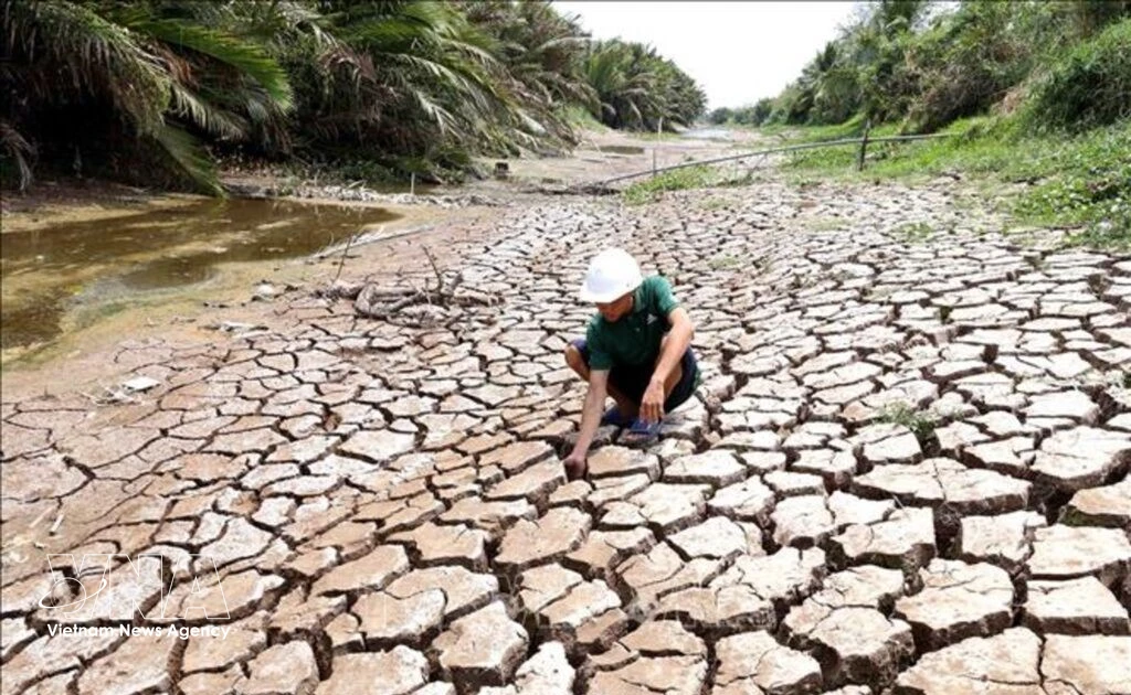 Vietnam approves carbon credit pact with Singapore under Paris Agreement
