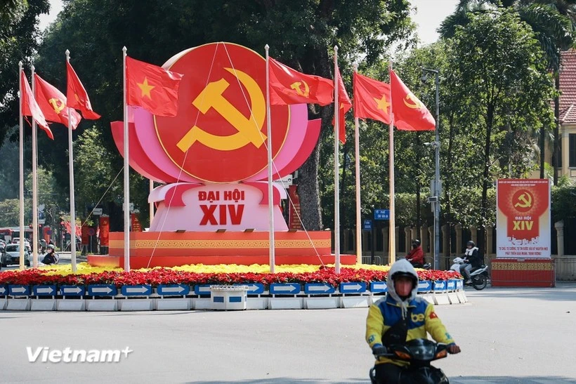 OV community vital to Vietnam’s development goals: expert