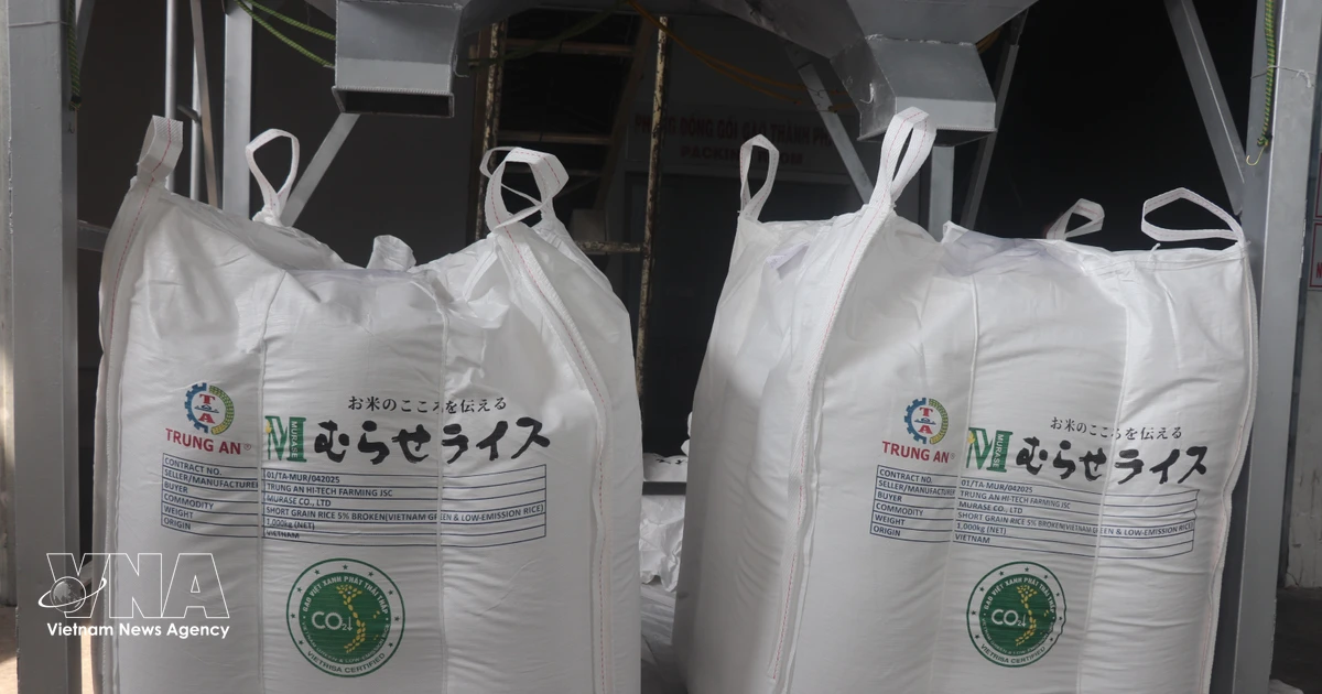 70,000 tonnes of rice granted “Low-emission Green Vietnamese Rice” label