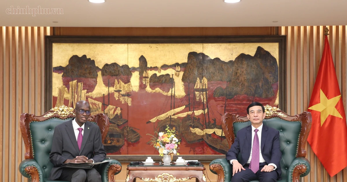 Vietnam seeks Mauritania’s role as bridge to African Union for deeper ties