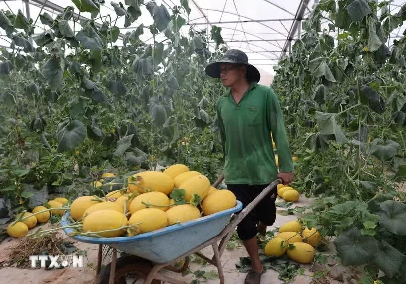 Vietnam, Laos deepen cooperation in finance, agriculture